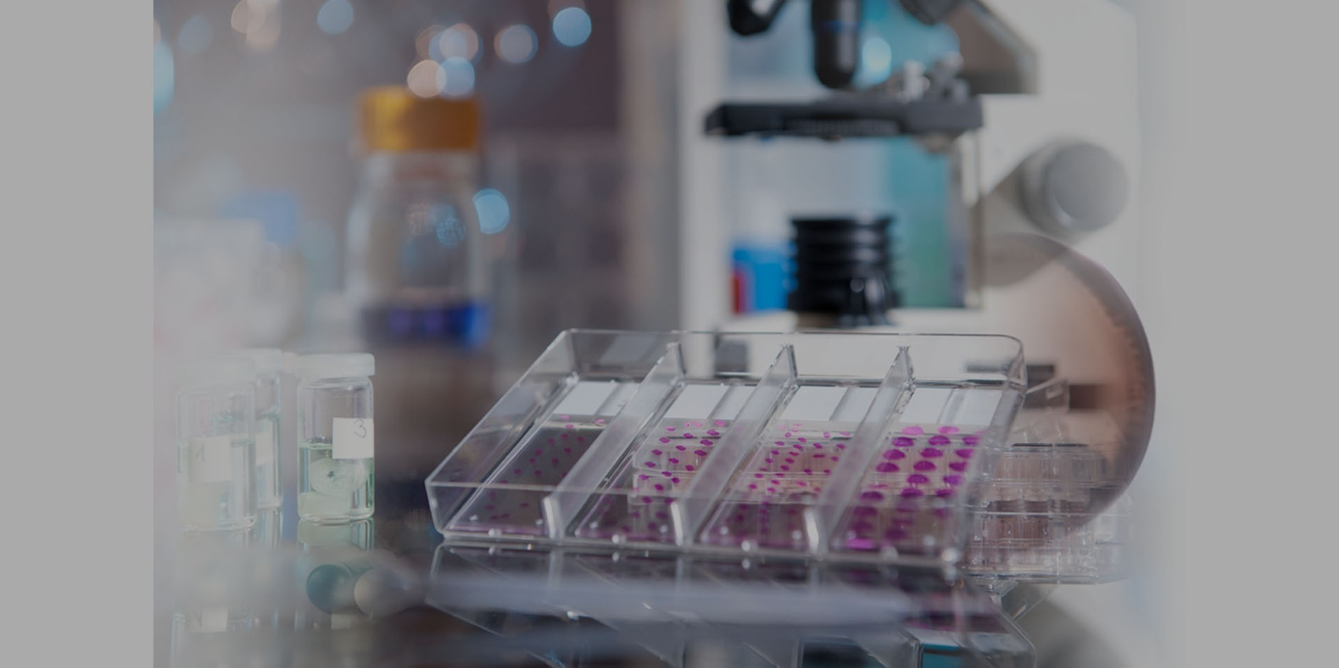 浙江正实辐照技术有限公司